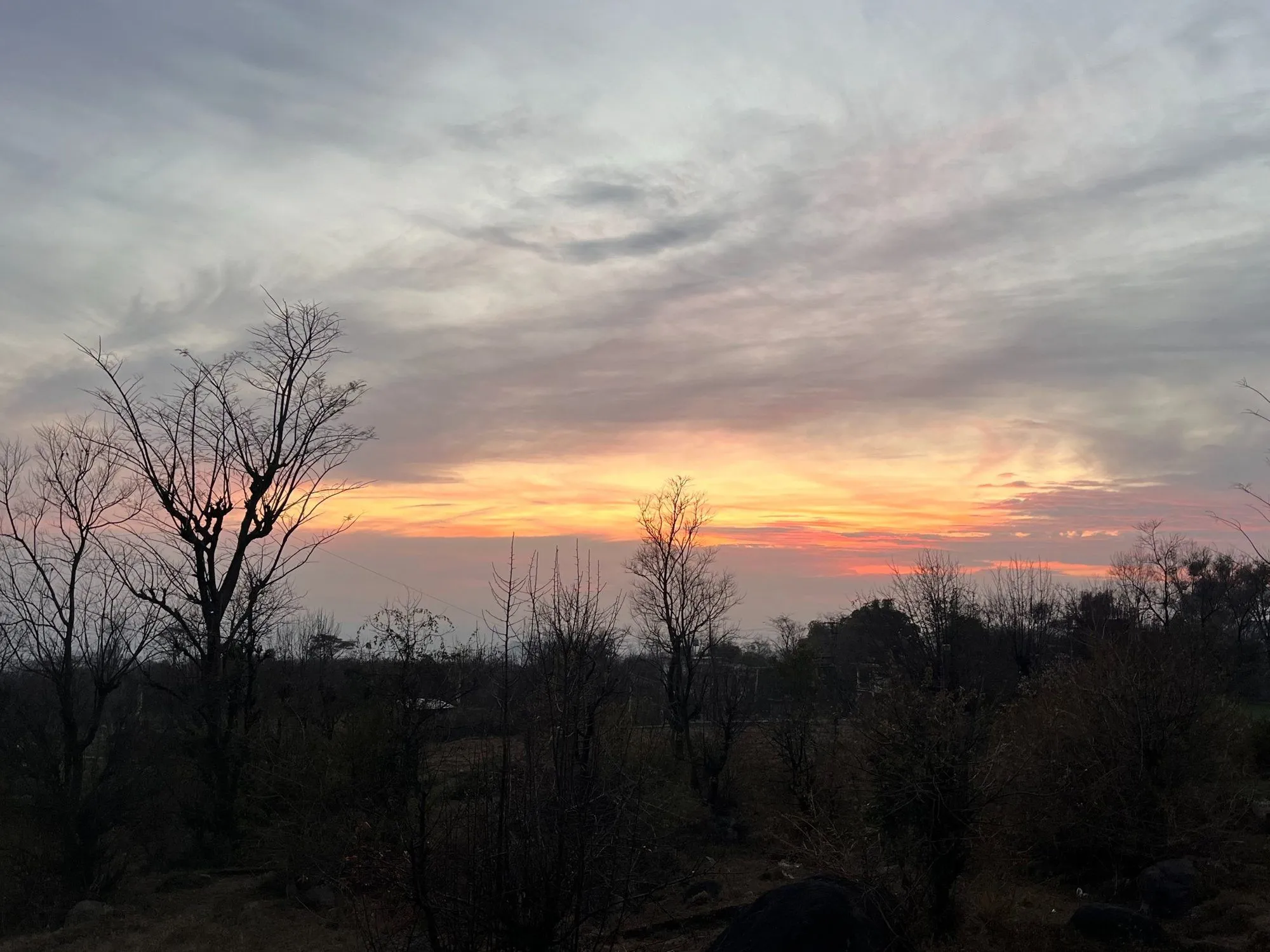 A grey and orange sunset sky over bare trees
