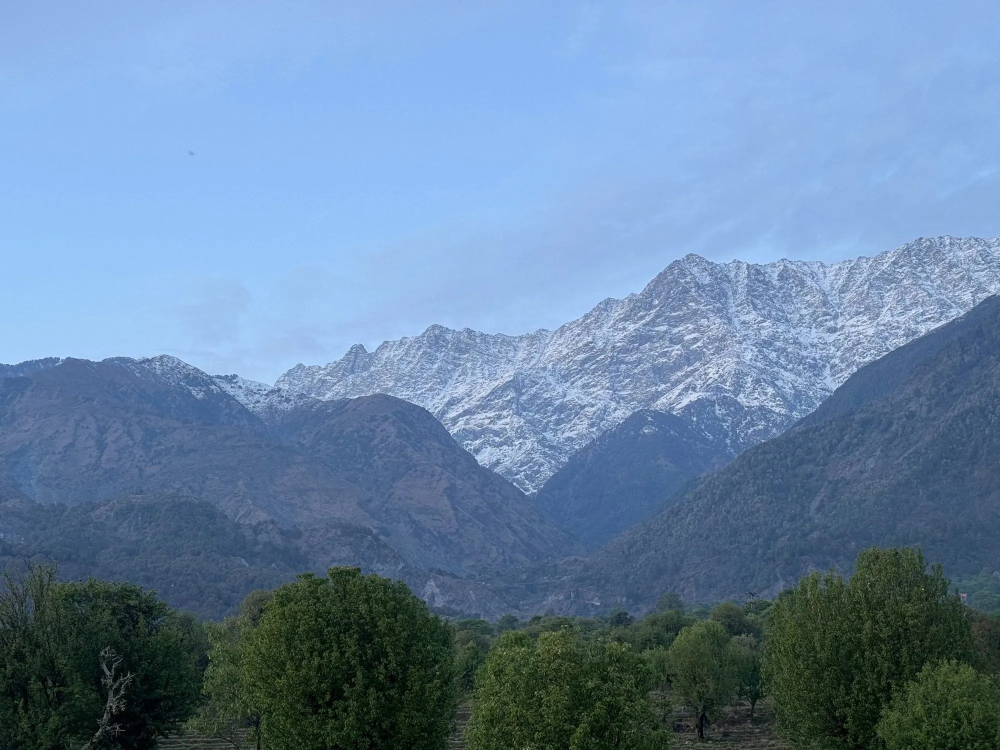 Snow-covered mountains rising above green trees on a clear day